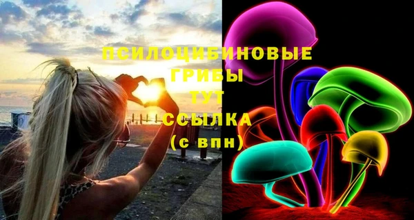 стафф Алексеевка
