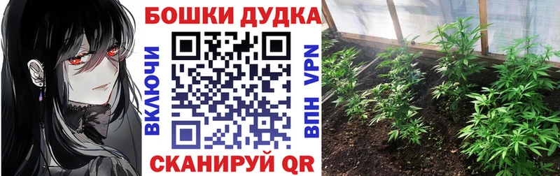 даркнет сайт  Черкесск  МАРИХУАНА семена 